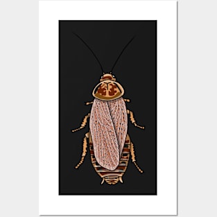 Lobster cockroach (Nauphoeta cinerea) Posters and Art